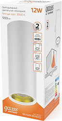 Светильник Gauss Overhead HD012 потолоч. 3000K цв.св.:белый теплый белый/золотистый