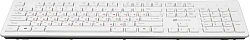 Клавиатура Оклик 505M белый USB slim