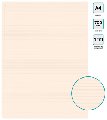 Папка с 100 прозр.вклад. Бюрократ DeLuxe DLVBOX100MILK A4 пластик 0.7мм молочный в коробе