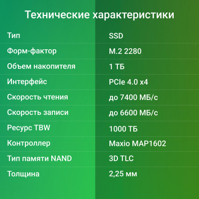 Накопитель SSD Digma PCIe 4.0 x4 1TB DGSM4001TM63T Meta M6 M.2 2280
