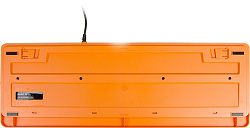 Клавиатура A4Tech Fstyler FK10 черный/оранжевый USB (FK10 ORANGE)