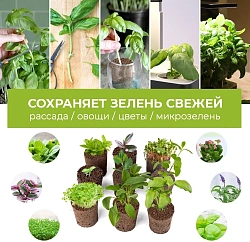 Набор питательных губок Cactus CS-SPONGE-20 для проращивания (упак.:20шт) коробка