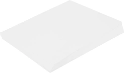 Фотобумага Cactus CS-MA4190100 A4/190г/м2/100л./белый матовое для струйной печати