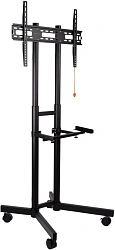 Подставка для телевизора Arm Media PT-STAND-7 черный 32"-80" макс.50кг напольный фиксированный