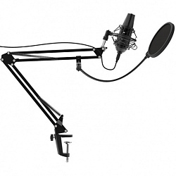 Микрофон проводной Ritmix RDM-180 2.5м черный