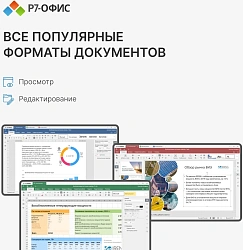 Офисное приложение Р7-Офис Профессиональный. Для бизнеса 1польз. бессрочно ТП 1г (R7DTB.UI.RT.NGUL0.0823.001BE)