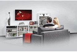 Кронштейн для телевизора Hama 00220813 черный 32"-75" макс.40кг настенный фиксированный