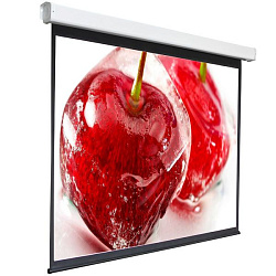Экран Digis 100" 180x180см Electra-F DSEF-1105 1:1 настенно-потолочный рулонный (моторизованный привод)