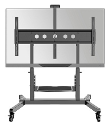 Стойка для телевизора Onkron TS1991 черный 50"-100" макс.120кг напольный наклон