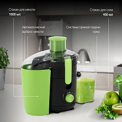 Соковыжималка центробежная Hyundai HY-JE1625 500Вт рез.сок.:450мл. черный/зеленый