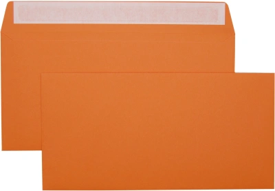 Конверт Silwerhof Eco 225А.10A C65 114x229мм ассорти клеевой слой 120г/м2 (pack:10pcs)