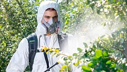 Опрыскиватель Greenworks G24BPSII аккум. ранц. 15л белый/зеленый (5300307)