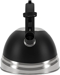 Чайник металлический Rondell Walzer RDS-1827 2.7л. черный