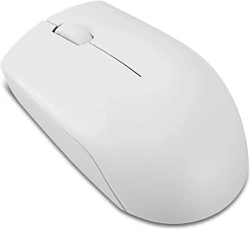 Мышь Lenovo 300 Wireless Compact светло-серый оптическая 1000dpi беспров. USB 2but (GY51L15677)