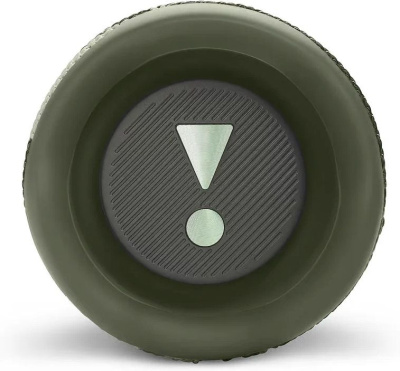 Колонка порт. JBL Flip 6 камуфляж 30W 1.0 BT 10м 4800mAh (JBLFLIP6SQUAD)