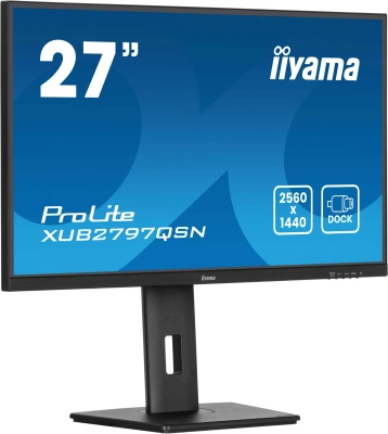Монитор Iiyama 27" ProLite XUB2797QSN-B2 черный IPS LED 16:9 HDMI M/M матовая HAS Piv 1300:1 300cd 178гр/178гр 2560x1440 100Hz DP Quad HD 2K (1440p) USB 6.1кг