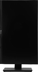 Монитор Pinebro 23.8" MF-2404ADU черный IPS LED 5ms 16:9 HDMI M/M матовая HAS Piv 250cd 178гр/178гр 1920x1080 75Hz FreeSync VGA DP FHD USB 3.7кг