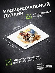 Коврик для мыши Cactus Motobike 250x200x3мм (CS-MP-D12S)