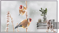 Панель LG 55" 55EW5P-M серебристый OLED LED 1ms 16:9 HDMI матовая 1100:1 400cd 178гр/178гр 1920x1080 DP FHD USB 13.9кг