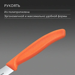 Нож кухонный Victorinox Swiss Classic (6.7709.C1) для овощей лезв.100мм прямая заточка оранжевый