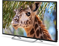 Телевизор LED PolarLine 50" 50PU11TC-SM черный 4K Ultra HD 60Hz DVB-T DVB-T2 DVB-C DVB-S2 WiFi Smart TV (RUS)