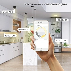 Умный светильник Gauss IoT Smart Home потолоч. белый (2020122)