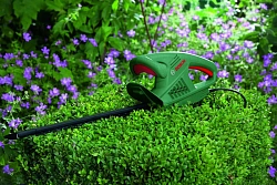 Кусторез Bosch EasyHedgeCut 55 (0600847C02)