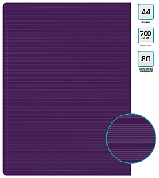 Папка с 80 прозр.вклад. Бюрократ DeLuxe DLVBOX80BBERRY A4 пластик 0.7мм черничный в коробе