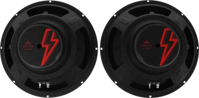 Колонки автомобильные Ural Молния АС-МЛ250 (без решетки) 300Вт 95дБ 4Ом 25см (10дюйм) (ком.:2кол.) широкополосные однополосные