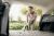 Строительный пылесос Karcher WD 4 S V-20/5/22 1000Вт (уборка: сухая/сбор воды) желтый