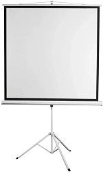 Экран Digis 112" 200x200см Kontur-D DSKD-1106 1:1 напольный рулонный