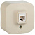 Розетка телеф. Legrand Quteo 782244 откр. слоновая кость