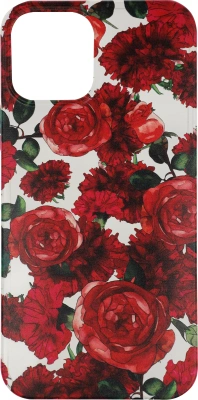 Чехол (клип-кейс) Gresso для Apple iPhone 12/12 Pro Air прозрачный/рисунок (GR17AAAE9067)