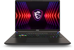 Ноутбук MSI Vector 16 HX A14VHG-831XRU Core i9 14900HX 16Gb SSD1Tb NVIDIA GeForce RTX4080 12Gb 16" IPS QHD+ (2560x1600) FreeDOS grey WiFi BT Cam (9S7-15M142-831)