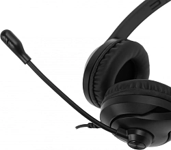Наушники с микрофоном A4Tech Fstyler FH100 черный 2м накладные оголовье (FH100 (STONE BLACK))
