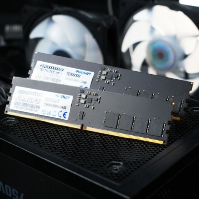 Память DDR5 16GB 6400MHz Patriot PSD516G64081C Signature RTL PC5-51200 CL52 DIMM 288-pin 1.1В single rank Ret