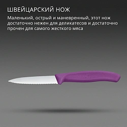Нож кухонный Victorinox Swiss Classic (6.7635.C1) для чистки овощей и фруктов лезв.80мм серрейт. заточка пурпурный