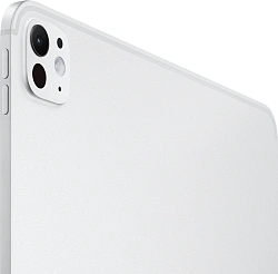 Планшет Apple iPad Pro 2025 A3360 M5 9C RAM12Gb ROM256Gb 13" OLED 2752x2064 iOS серебристый 12Mpix 12Mpix BT WiFi 10hr