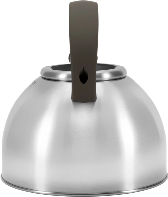 Чайник металлический Rondell Balance RDS-434 3л. стальной