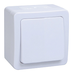 Выключатель IEK Гермес Plus откр. 1кл. IP54 белый (упак.:1шт) (EVMP10-K01-10-54-EC)