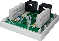 Розетка Suprlan 10-0309 наклад. RJ45 2 кат.5E UTP черн.