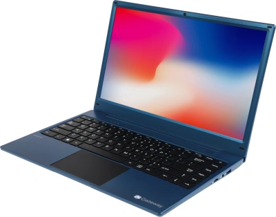 Ноутбук Gateway Ultra Slim 14 Ryzen 5 3500U 8Gb SSD256Gb AMD Radeon Vega 8 14.1" IPS FHD (1920x1080) Windows 11 Home blue WiFi BT Cam (GWNR51416-BL)