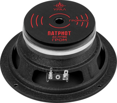 Колонки автомобильные Ural АС-ПТ165 ГРОМ (без решетки) 600Вт 99.5дБ 4Ом 16.5см (6 1/2дюйм) (ком.:1кол.) широкополосные однополосные