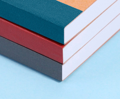 Тетрадь Deli 23218 A4 100л линейка ассорти