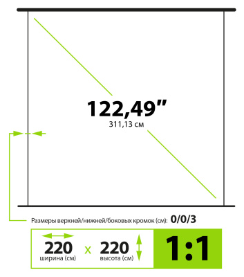Экран Cactus 220x220см WallExpert CS-PSWE-220x220-WT 1:1 настенно-потолочный рулонный