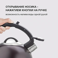 Чайник металлический Rondell Tierno RDS-1900 2.9л. фиолетовый