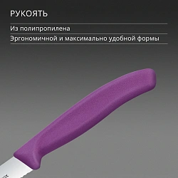 Нож кухонный Victorinox Swiss Classic (6.7735.C1) для чистки овощей и фруктов лезв.100мм серрейт. заточка пурпурный