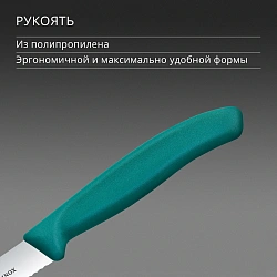 Нож кухонный Victorinox Swiss Classic (6.7734.C1) для чистки овощей и фруктов лезв.100мм серрейт. заточка зеленый