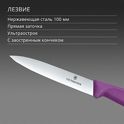Нож кухонный Victorinox Swiss Classic (6.7705.C1) для овощей лезв.100мм прямая заточка пурпурный