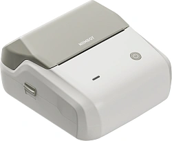 Термопринтер Niimbot B31 (1746801) 203dpi 80мм/с/USB/BT для печ.этик. светло-серый